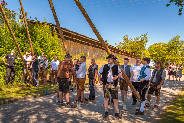 Thumbnail: _JA 31189 Maifest Hohenried 2026.jpg
